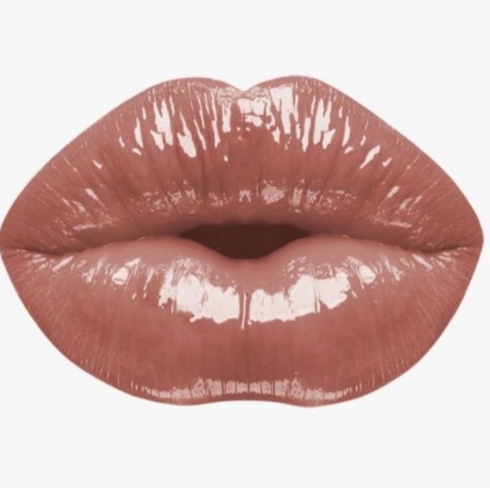 DISCONTINUED BNIB Karity “Layla” Pink Nude High Shine Lip Gloss RARE Vegan NWT